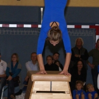 Julturnen 2009
