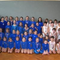 Bezirksmeisterschaften Geräteturnen in Bad Ischl 2010