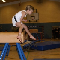 julturnen_2010_23_20101205_1728346149