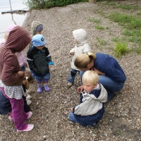 2010
