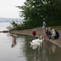 MUKI am Badeplatz