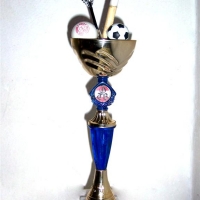 2010