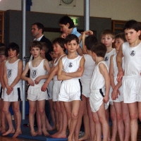 Bezirksmeisterschaften Geräteturnen in Gmunden 2011