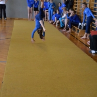 dsc_2274_20120329_1368215779