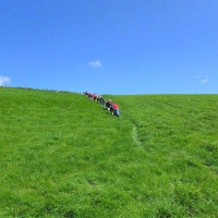 gruenundblau_20120816_1313425869