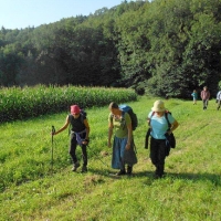 helgaimmauschi_20120816_1438856343