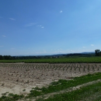 Jahnwanderung Münzkirchen 2012
