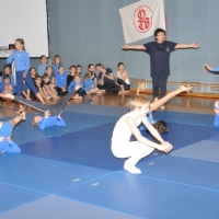 dsc_0213_1_20121213_1463687285