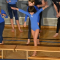 dsc_1630_20121213_1414616345