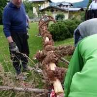 Maibaumaufschmeissen 2012