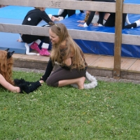 Maibaumaufstellen 2012