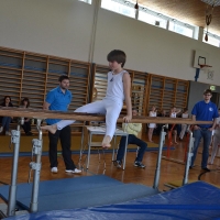 Bezirksmeisterschaften Geräteturnen in Bad Ischl 2013