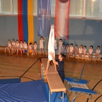 dsc_0462_20131203_1057993839