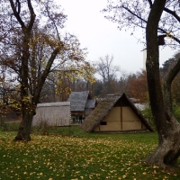 pb020224_0873_20131123_1974288152