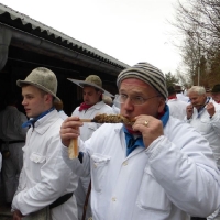 p1010341stanglfisch_20140107_1792763510