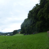p1030659richtung_altuenster_20140819_1253360928