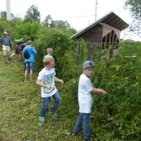 p1030678brombeeren-so_guat_20140819_1346385286