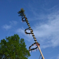 maibaumstellen108__20140502_1743603896