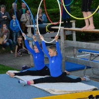 maibaumstellen170__20140502_1839890189
