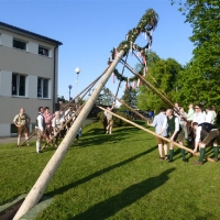 p1020383maibaum_2014_20140502_1696024478