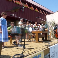 p1030544lila_timo_und_turnermusi_20140812_1235316310