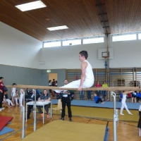 p1050004lukas_nubauer_20150322_1452922472