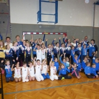 p1050045gruppenbild_aller_gmundner_in_aktion_20150322_1749838227