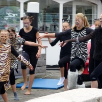 Gesundheitstag in Gmunden 2015