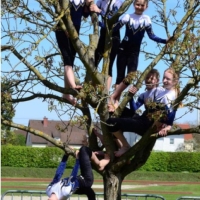 Landesmeisterschaften Geräteturnen in Traun 26. April 2015