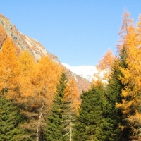 Turnermusiausflug nach Osttirol