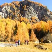 img_3708herbst_20151123_1203224799