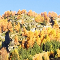 img_3852wunderbarer_herbst_20151123_1112149265