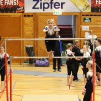 img_4226heike_colli_20160415_1054850683_20160501_1668025481