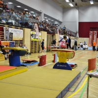 Bundesmeisterschaft 2016 Amstetten