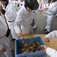 P1000696Stanglfisch