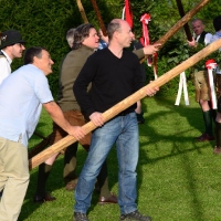 MaiBaumStellen861TU