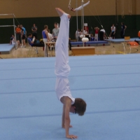 P1050938 Handstand Sebastian