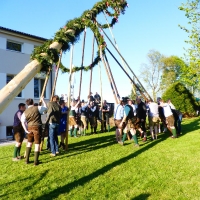 P1050758Maibaum 2017 