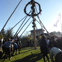 P1050779Maibaum 2017