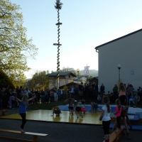 P1050807Maibaum 2017