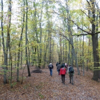 P1070202 Wanderung