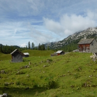 08_Wildenseealm