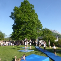 Maibaum aufstellen, April 2018