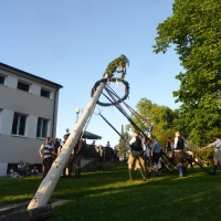 P1080928 Maibaum