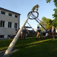 P1080930 Maibaum