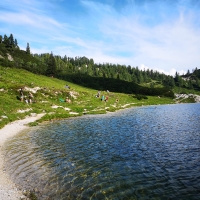 15 IMG-20190721-WA0026 Wildensee