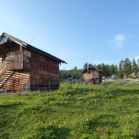 20 P1010783 Wildenseealm