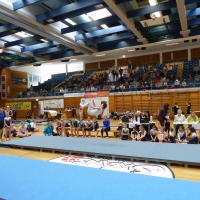 11P1010214 Salto Boden Alex Heinz