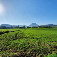 10 IMG-20191026-WA0002 direkt kitschig