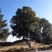 03 20220811_082305 Bauernkriegdenkmal in Pinsdorf